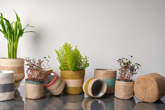 Wholesale Easter Essentials – Bulk Jute Planters, Cotton Rope Baskets & Coir Doormats