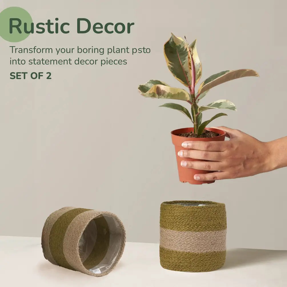 Jute Planter Set of 2, Natural Jute, 4.5x4.5x4, Olive & Natural - India Wholesale Co.