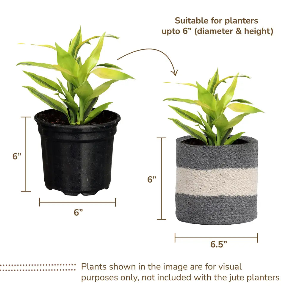 Jute Planter Set of 2, Natural Jute, 6.5x6.5x6, Gray & White - India Wholesale Co.