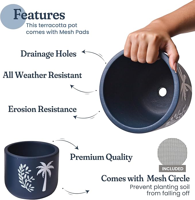 Blue Terracotta Planter Set of 2 – 4” & 6” Pots