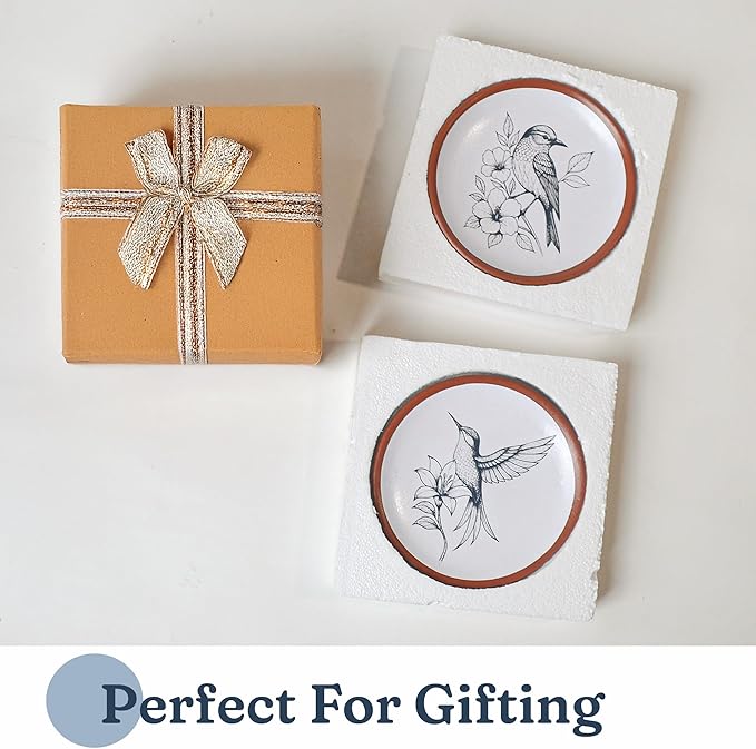 Hummingbird Terracotta Wall Plates Set of 2 – 8 Inch Décor