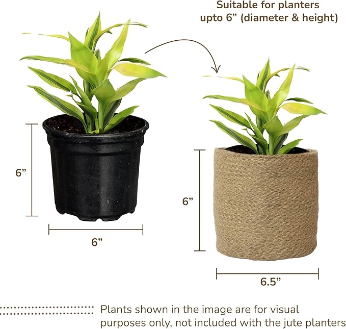 Jute Planter Set of 2, Natural Jute, 6.5x6.5x6, Brown