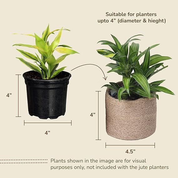 Jute Planters with Poly-Lining Set of 3 Natural Jute 4.5x4.5x4" - India Wholesale Co.