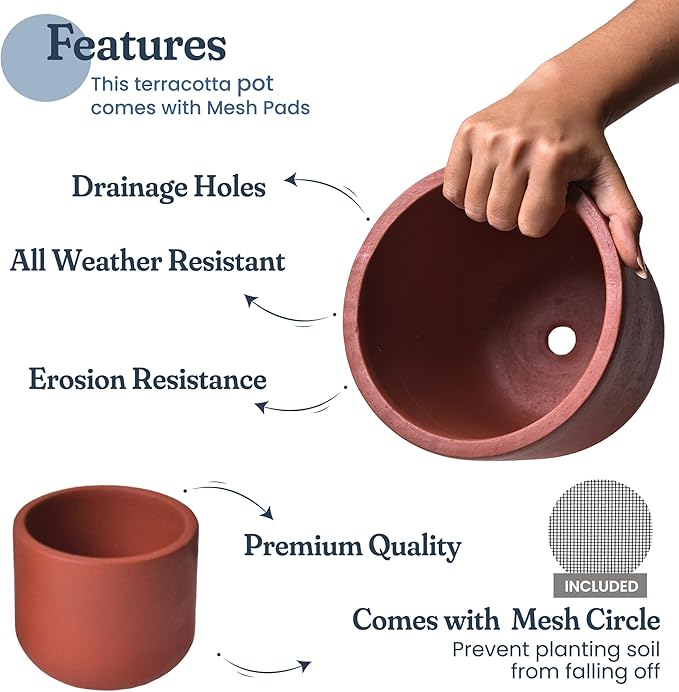 Terracotta Pot Set of 2 – 4'' & 6'' Clay Planters