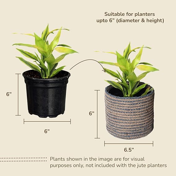 Jute Planters with Poly-Lining Set of 2 Teal Blue/Natural Jute 6.5x6.5x6" - India Wholesale Co.