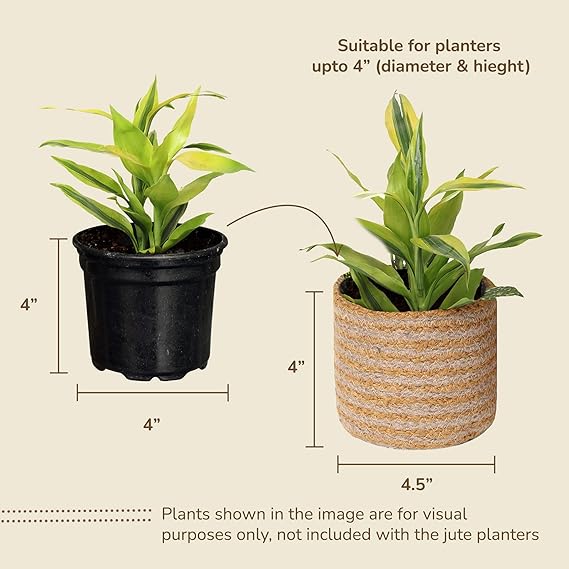 Jute Planters with Poly-Lining Set of 2 Orange/Natural Jute 4.5x4.5x4" - India Wholesale Co.