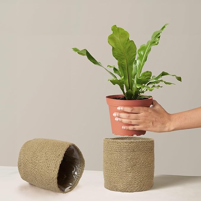 Jute Planter Set of 2, Natural Jute, 6.5x6.5x6, Brown