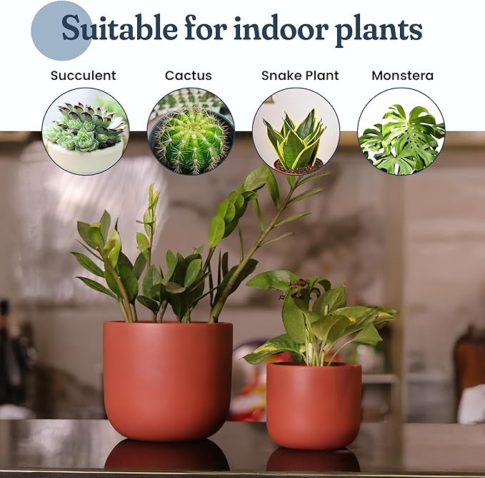 Terracotta Pot Set of 2 – 4'' & 6'' Clay Planters