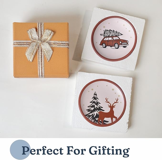 8-Inch Terracotta Christmas Plates Set of 2