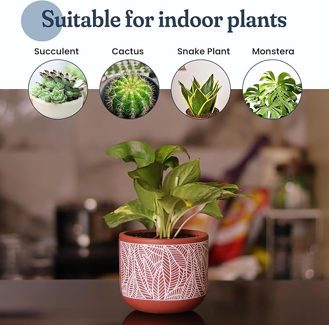 4-Inch Terracotta Planter with White Leaf Design – Boho Pot