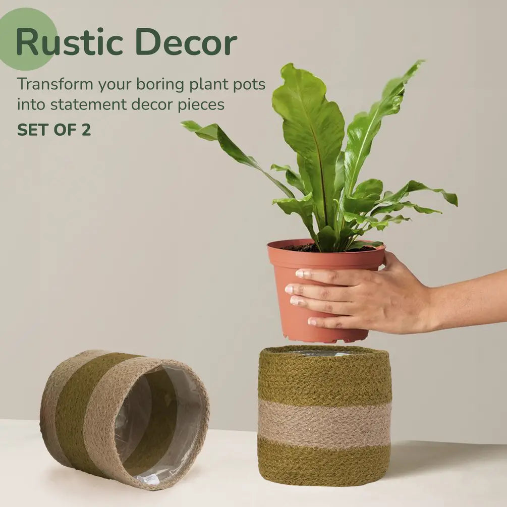 Jute Planter Set of 2, Natural Jute, 6.5x6.5x6, Olive & Natural - India Wholesale Co.