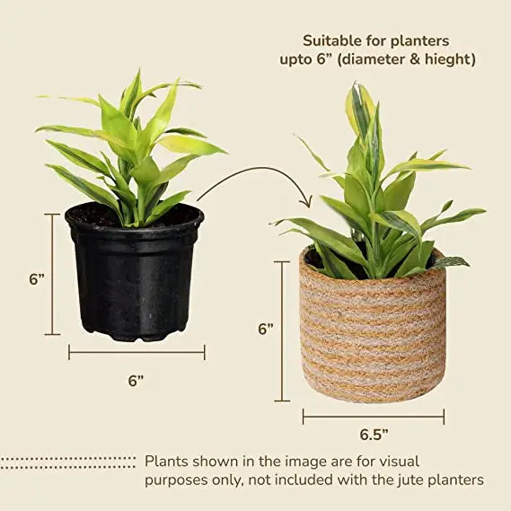 Jute Planters with Poly-Lining Set of 2 Orange/Natural Jute 6.5x6.5x6" - India Wholesale Co.