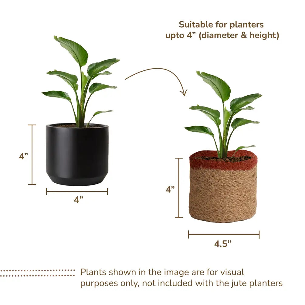 Jute Planter Set of 2, Natural Jute, 4.5x4.5x4, Red, Green & Natural - India Wholesale Co.