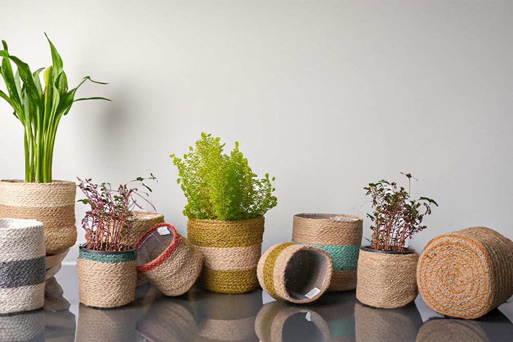 Wholesale Easter Essentials – Bulk Jute Planters, Cotton Rope Baskets & Coir Doormats