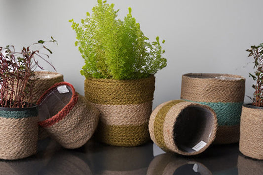 How To Style Jute Planters for Urban Apartments — Retailer Display Ideas