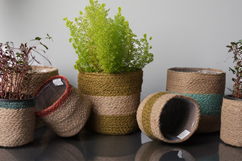 Fall 2025 Porch Decor: Coir Doormats + Jute Planters Bundle Ideas