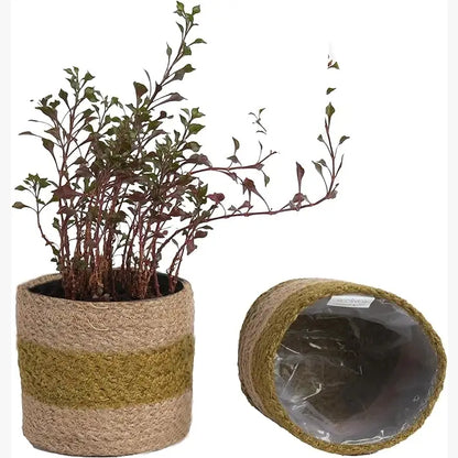 Jute Planter Set of 2, Natural Jute, 4.5x4.5x4, Olive & Natural