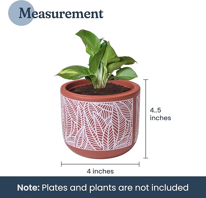 4-Inch Terracotta Planter with White Leaf Design – Boho Pot