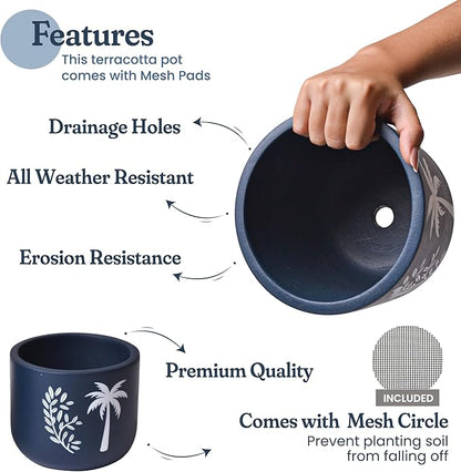 Blue Terracotta Planter Set of 2 – 4” & 6” Pots