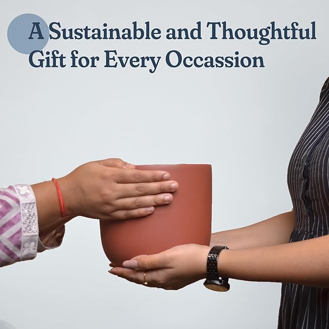 Terracotta Pot Set of 2 – 4'' & 6'' Clay Planters