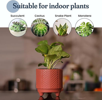 Boho Terracotta Chevron Planter – 4 Inch Indoor Pot