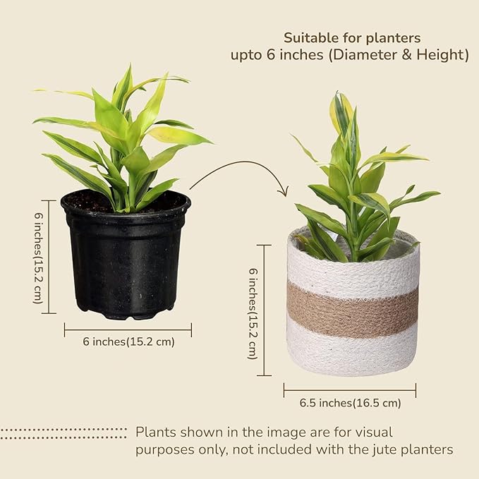 Jute Planters with Poly-Lining Set of 4 White/Natural Jute in 2 patterns X2 6.5x6.5x6"