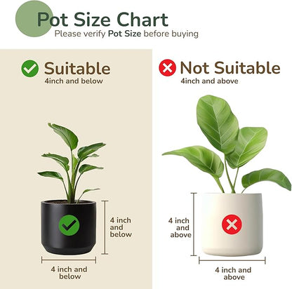 Jute Planter Set of 4, Natural Jute, 4.5x4.5x4, Red, Green & Natural