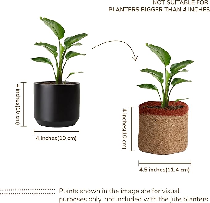 Jute Planter Set of 2, Natural Jute, 4.5x4.5x4, Red, Green & Natural