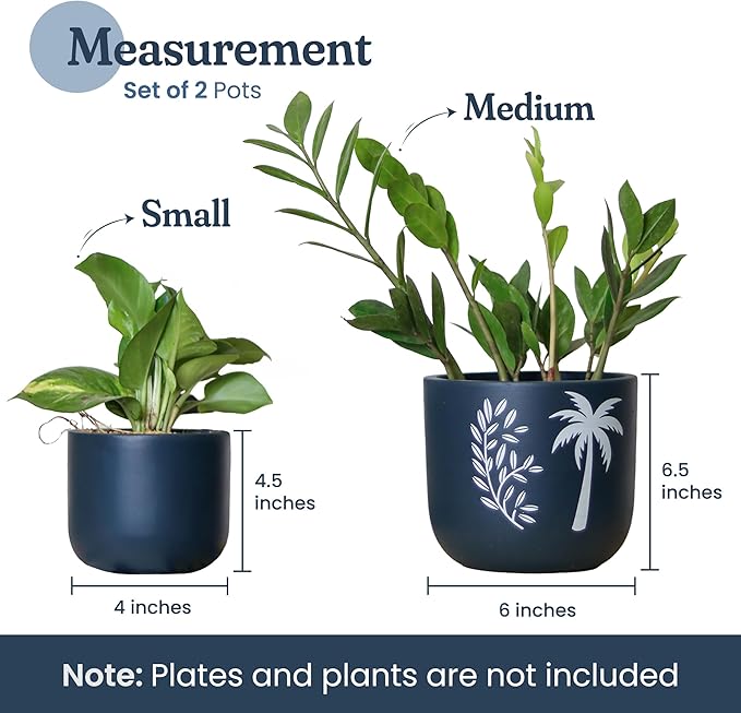 Blue Terracotta Planter Set of 2 – 4” & 6” Pots