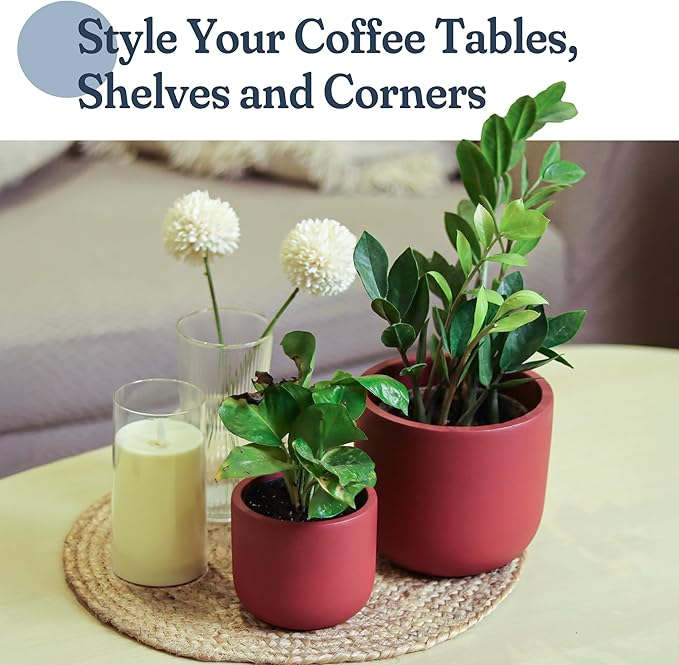 Terracotta Pot Set of 2 – 4'' & 6'' Clay Planters