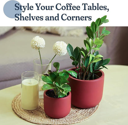 Terracotta Pot Set of 2 – 4'' & 6'' Clay Planters