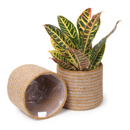 Jute Planters with Poly-Lining Set of 2 Orange/Natural Jute 6.5x6.5x6"