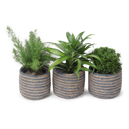 Jute Planters with Poly-Lining Set of 3 Teal Blue/Natural Jute 4.5x4.5x4"