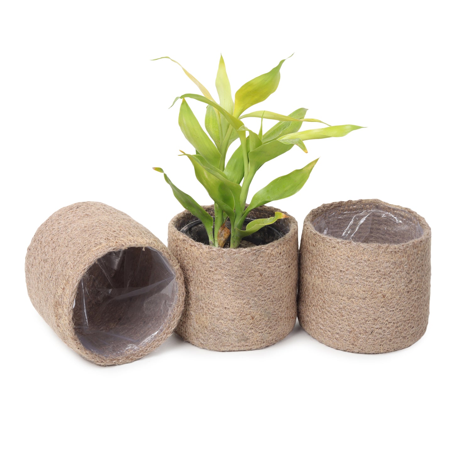 Jute Planters with Poly-Lining Set of 3 Natural Jute 4.5x4.5x4"